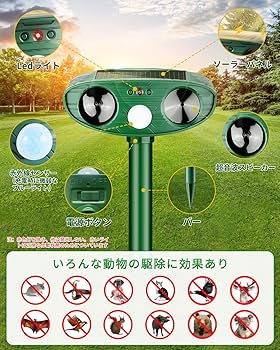 RAT 並行輸入品 RAT 並行輸入品